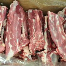 济南济阳进口牛羊肉有机牛肉经销图片