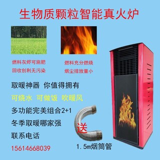 生物质颗粒风暖炉家用商用智能恒温炉室内真火无烟无尘取暖炉图片6
