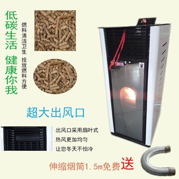 BY100-120生物質(zhì)顆粒取暖爐新能源智能取暖爐冬季室內(nèi)取暖爐