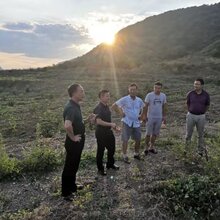 湖南树人公司柑橘苗种植基地图片