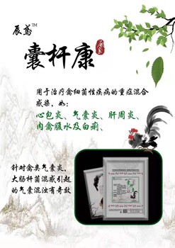 雞氣囊炎發(fā)展過程雞咳嗽呼嚕怪叫