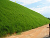 草籽播种机图片湖北荆州客土喷播机