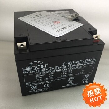 上海供應理士蓄電池DJM12-24蓄電池直流屏ups蓄電池12V24AH報價
