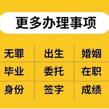 一手代办涉外公证认证出生无犯罪亲属关系翻译公证