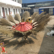 风火轮扫地车厂家批发特售图片