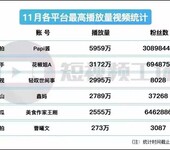 链信公开课两米青年刘杰PR软件课程