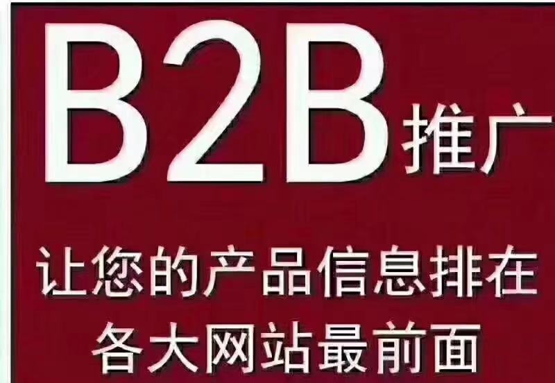 镇安b2b网站咨询