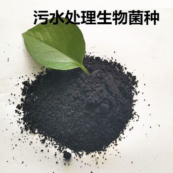 北京耐低温菌种微生物菌种污水处理复合菌种生产厂家报价-欢迎咨询