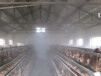 养殖场喷雾除臭系统-智能全自动除臭设备厂商直销