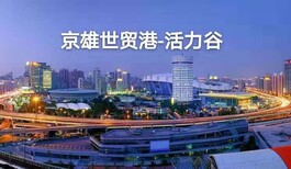 京雄世贸港三期户型展示图片5