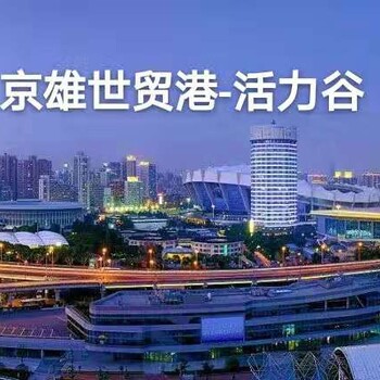 白沟京雄世贸港价格动态首付只有20万