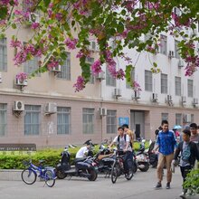 成人教育学费图片