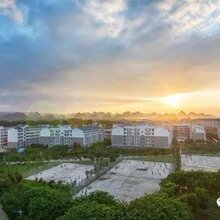 2020年马山成教招生简章图片