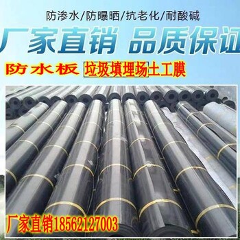 吉安尾礦渣處理HDPE土工膜