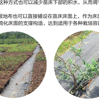 青海除草布厂家,黑色PPE地布,免费寄样,加工定制