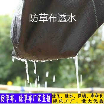 pp編織布廠家