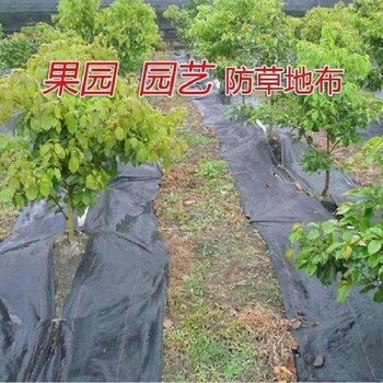 宁波园林防草布抑草布抗紫外线除草布厂家