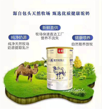 内蒙，新疆，原产地骆驼奶粉生产厂家代理，批发