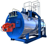 江苏泰州生物质蒸汽锅炉生产安装调试图片4
