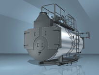 江苏泰州生物质蒸汽锅炉生产安装调试图片2