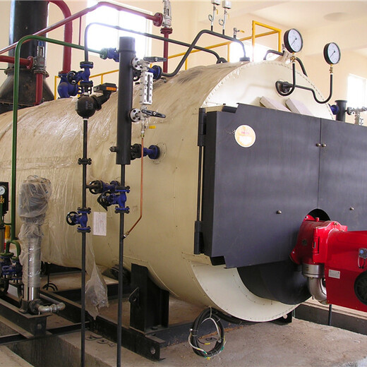 衡水市环保锅炉生产安装调试