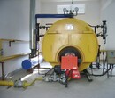 武汉立式蒸汽锅炉生产安装调试图片
