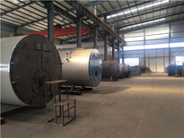 青浦生物质热水锅炉厂家欢迎来电图片2