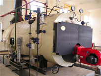 阿拉善盟工业燃油蒸汽锅炉厂家生产安装调试图片0