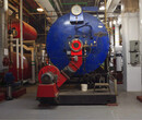黑龙江佳木斯燃气低氮锅炉全国统一供应商图片