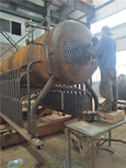 汉中猪舍供暖锅炉厂家生产-上门安装图片2