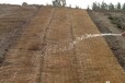 植物纤维毯边坡绿化