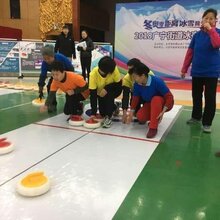便携式冰壶球赛道厂家仿真冰滑冰场冰板直销图片