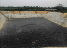 污水池hdpe土工膜、防水板、批发图片5