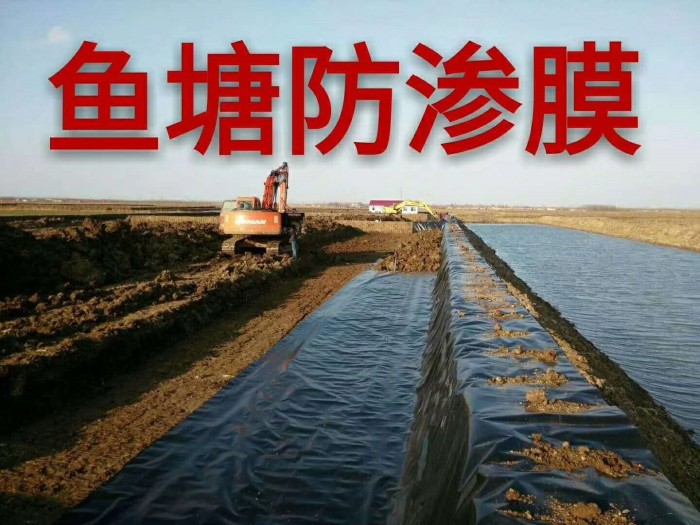 车库防渗用hdpe土优游平台1.0娱乐注册膜生产厂优游平台1.0娱乐注册