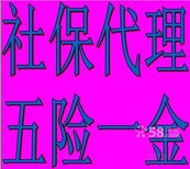 佛山智通职工社保代买工资代发劳务外包图片1