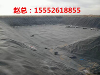 宜昌EVA防水板生产厂家图片1