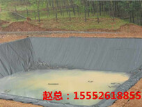 宜昌EVA防水板生产厂家图片3