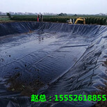 唐山HDPE土工膜价格图片4