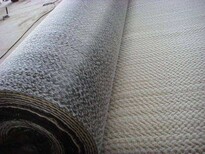 保定供應膨潤防水毯型號,膨潤土防水材料圖片1