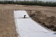 河南供应短丝土工布质量可靠
