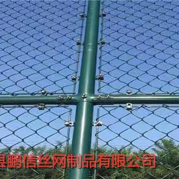 球场围栏网，护栏网，篮球场防护网，排球场护栏网