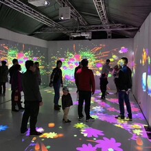 灯光节灯光展各种造型厂家直销出租灯光圣诞树出租