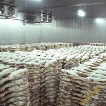 廣安肉類庫價(jià)格