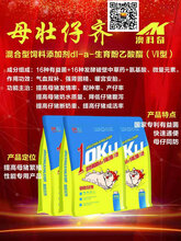 合肥快速通便兽药添加剂母壮仔齐图片