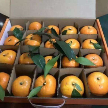 广西桂林柑橘电商礼盒制作设计厂家直供