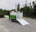 创洁垃圾清运车,西藏供应电动三轮装桶垃圾车优质服务