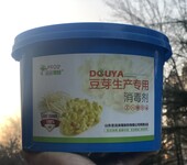 圣洁青蛙牌豆芽消毒剂高效快速豆芽杀菌剂