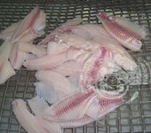 供应：罗非鱼鱼柳、鱼片