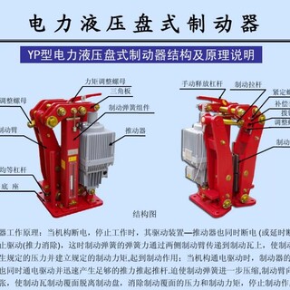 ED301/12电力液压推动器价格图片4