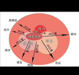 白沟_u创领秀城京雄世贸港知名品牌-企业入驻